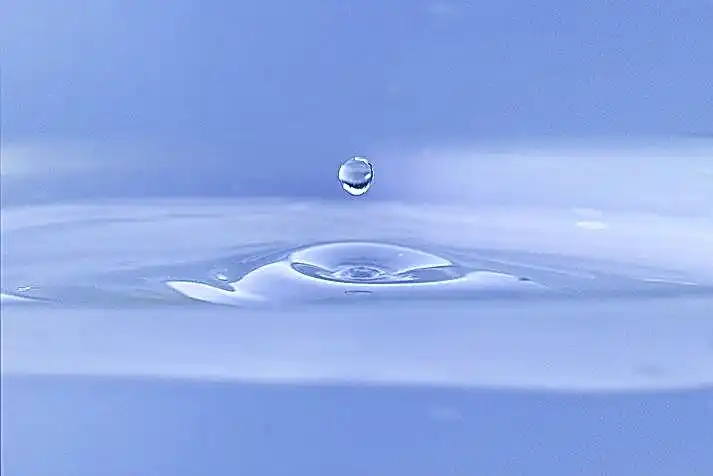 Сукааа официальный сайт 453a20